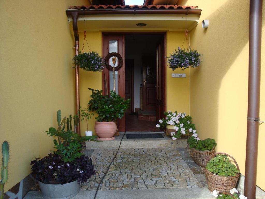 Apartman Augsten Český Krumlov المظهر الخارجي الصورة